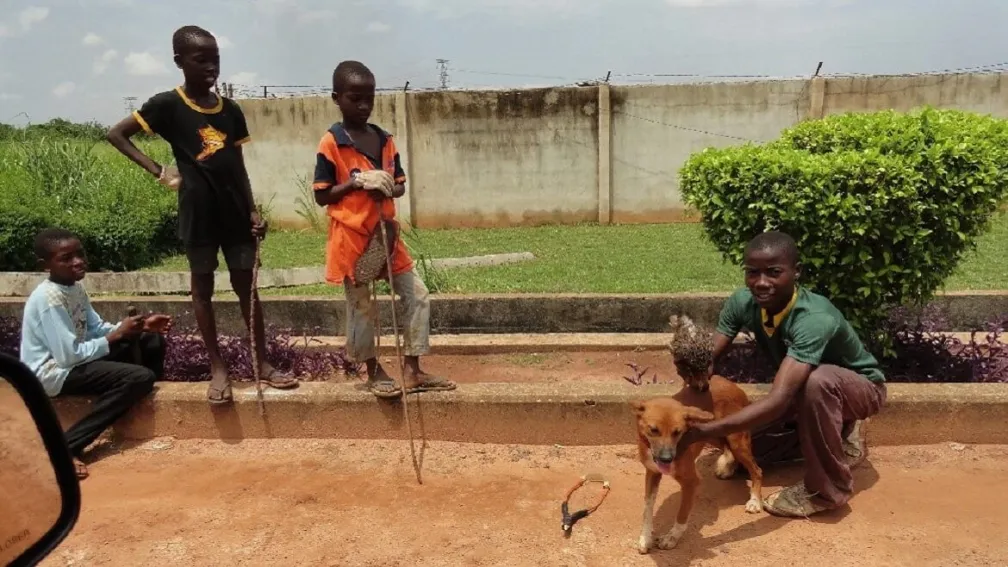 Biodiversity Management Framework