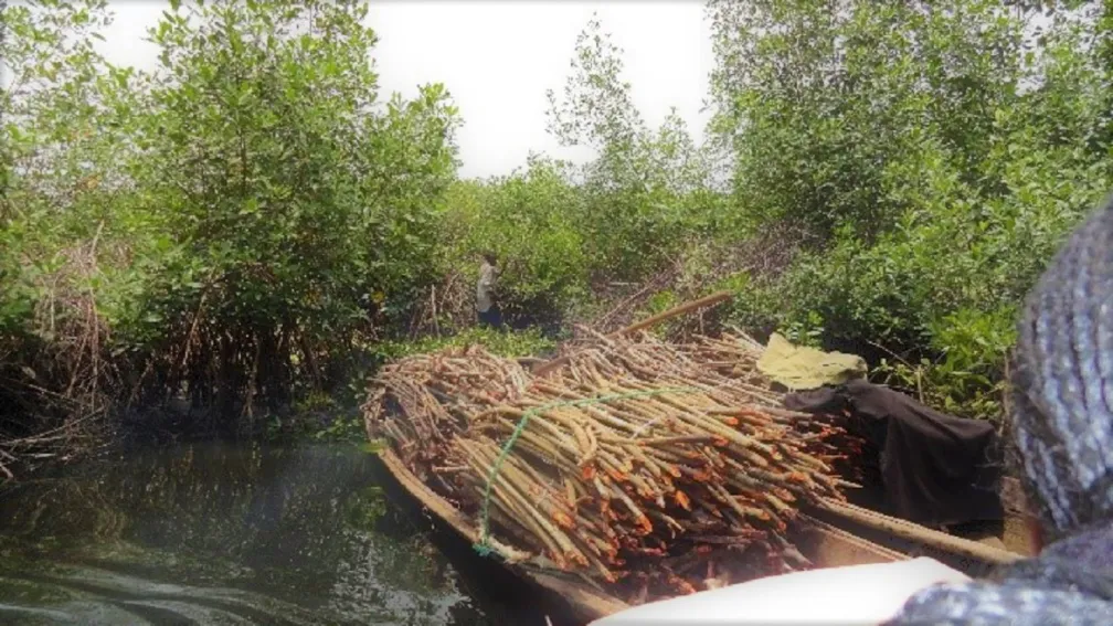 Biodiversity Management Framework