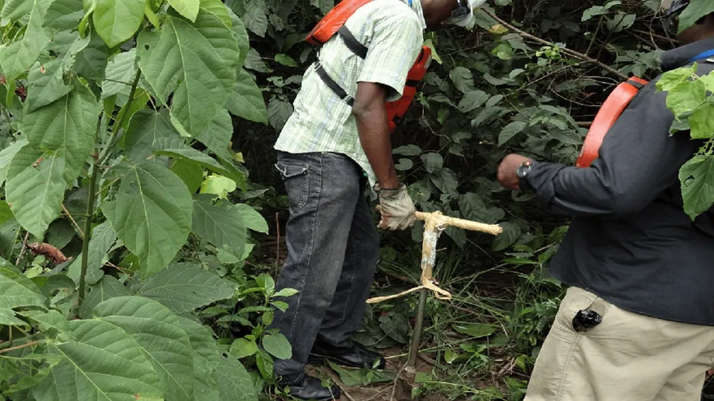 Soil Assessment Studies