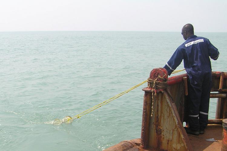 Sea Survey - Plankton Studies